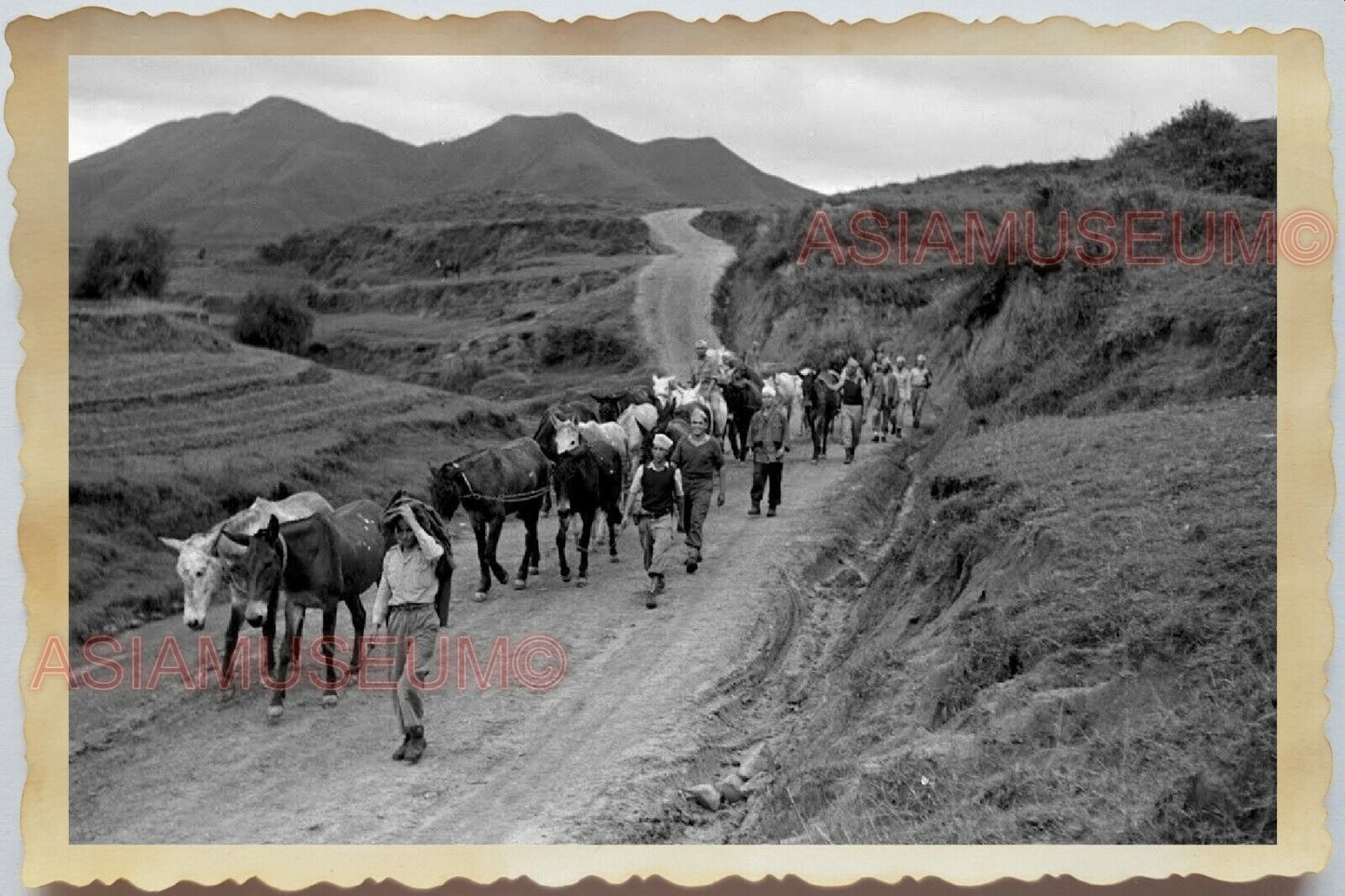 50s Vietnam Indochina Ho Chi Minh Mountain Horse Village Man Vintage Photo #564