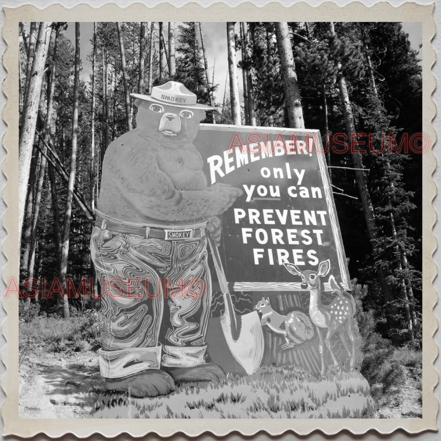 50s YELLOWSTONE NATIONAL PARK WYOMING PARK SMOKEY BEAR SIGN OLD USA Photo 12267