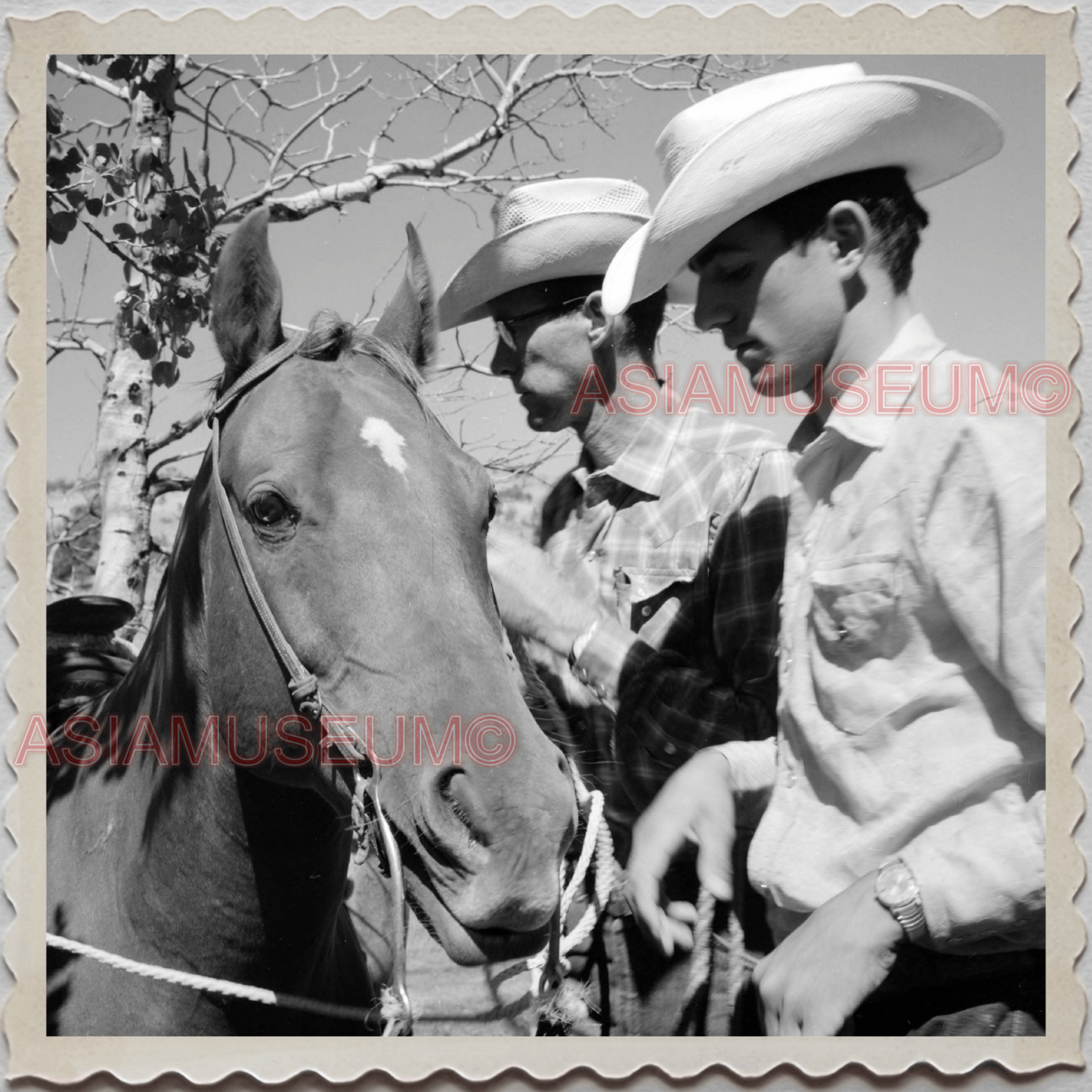 40s AUGUSTA KRONE RANCH COWBOY MAN HORSE US VINTAGE OLD USA AMERICA Photo S9302