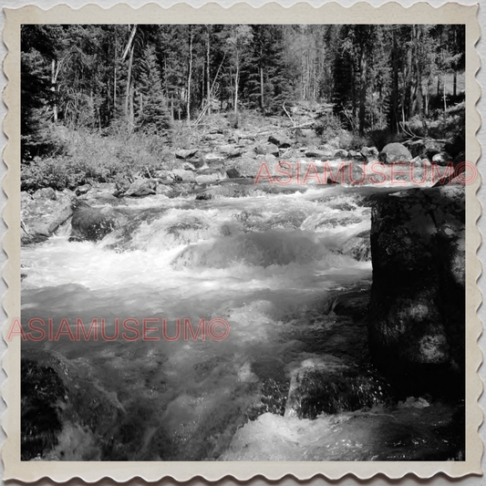 50s YELLOWSTONE NATIONAL PARK WYOMING RIVER MOUNTAIN PARK VINTAGE USA Photo 9245