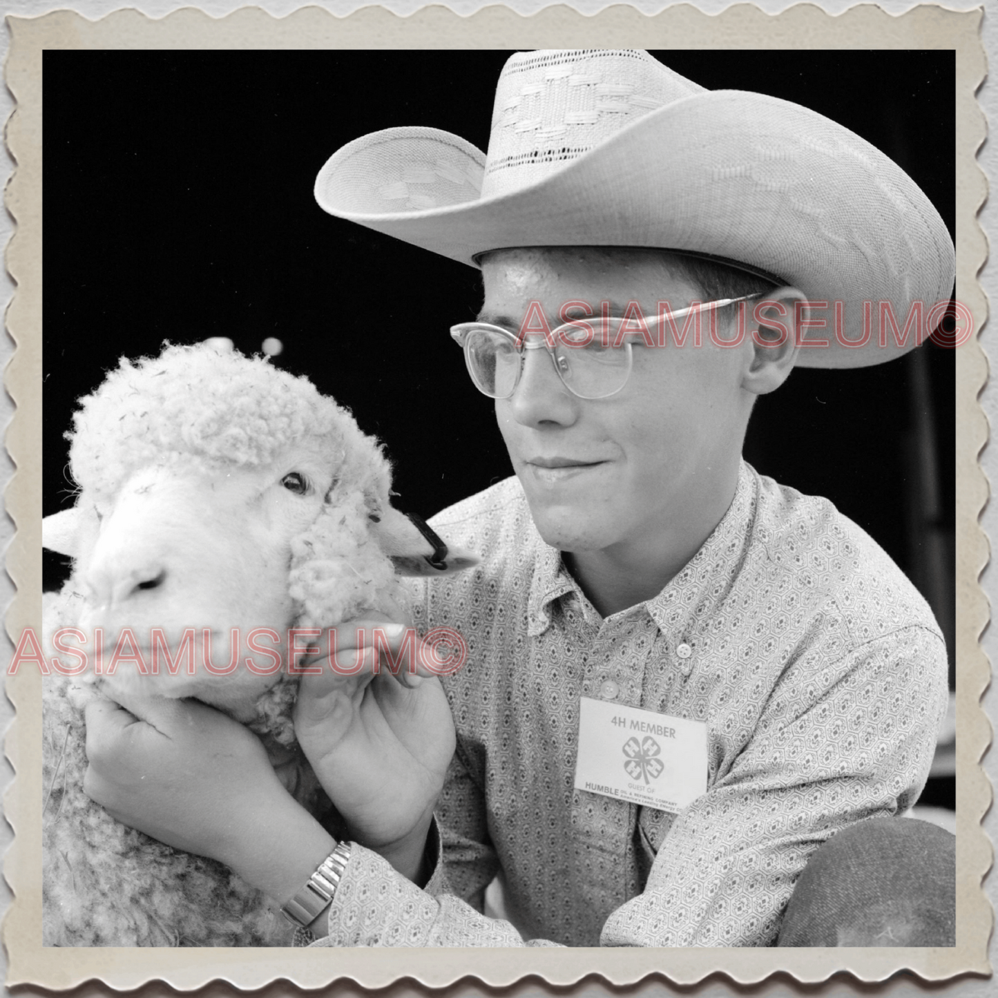 50s BILLINGS MONTANA FAIR YELLOWSTONE RIVER COWBOY HAT SHEEP OLD USA Photo 11857