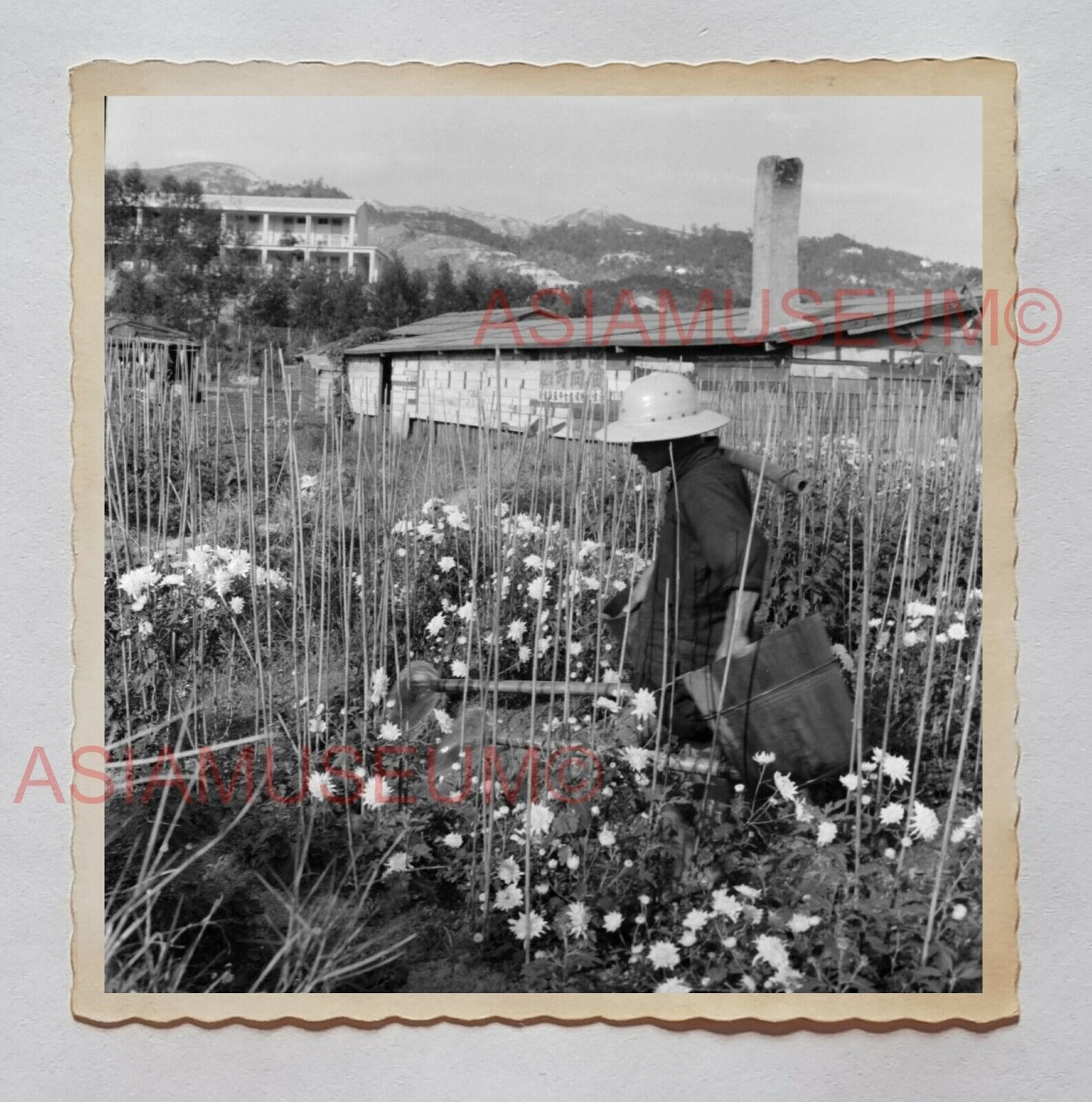 WOMEN LADY FARMER VILLAGE WATERING FLOWER  Vintage Hong Kong Photo 27212 香港旧照片