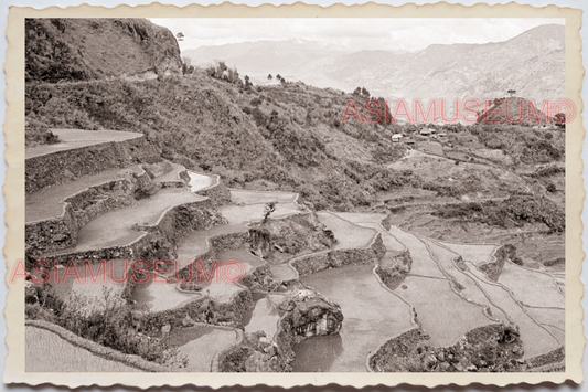 50s PHILIPPINES MOUNTAIN HILL PADDY RICE TERRACE FIELD HOUSE Vintage Photo 24077