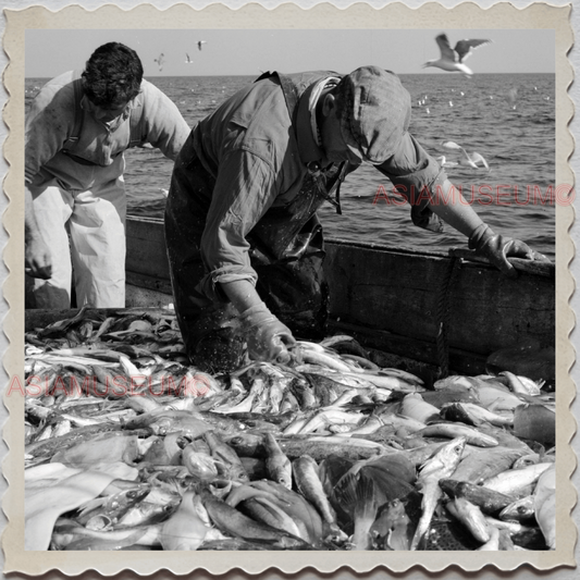 50s GLOUCESTER HARBOR ESSEX MASSACHUSETTS BOAT SEA FISHERMAN OLD USA Photo 8361