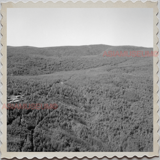 50s FAIRBANKS NORTH STAR BOROUGH ALASKA FOREST HILL TREES VINTAGE USA Photo 7798