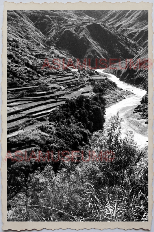 50s PHILIPPINES LUZON CORDILLERA IFUGAO RICE TERRACE RIVER Vintage Photo 24337