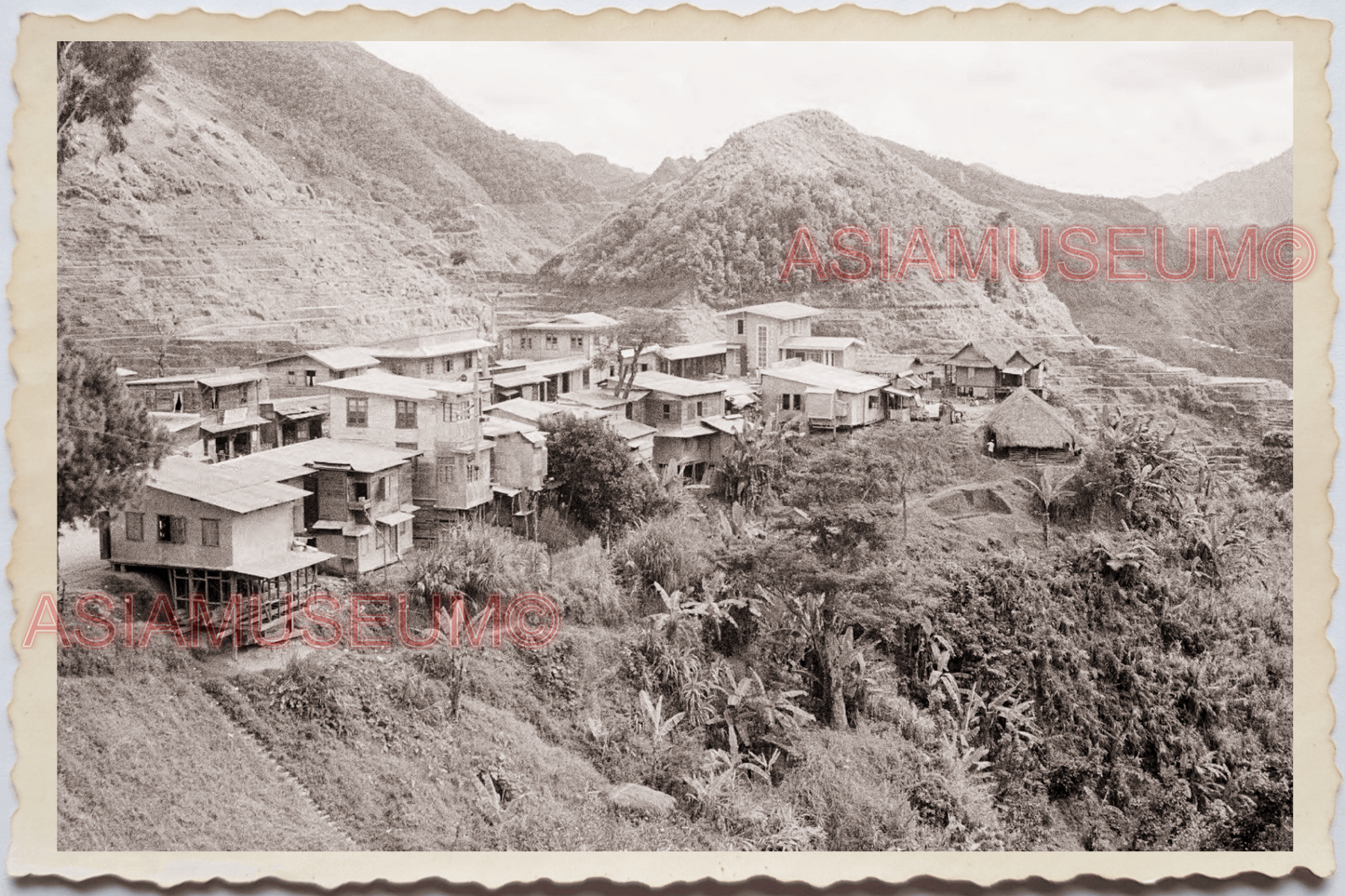 50s PHILIPPINES MANILA RICE TERRACE FIELD MOUNTAIN HILL HOME Vintage Photo 24067