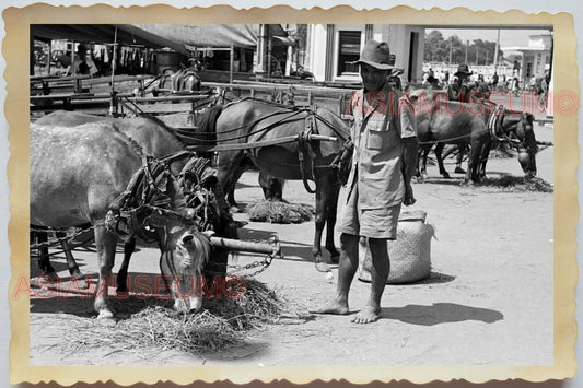 50s Vietnam War Saigon Ho Chi Minh Market Cow Bullock Cart Vintage Photo #1114