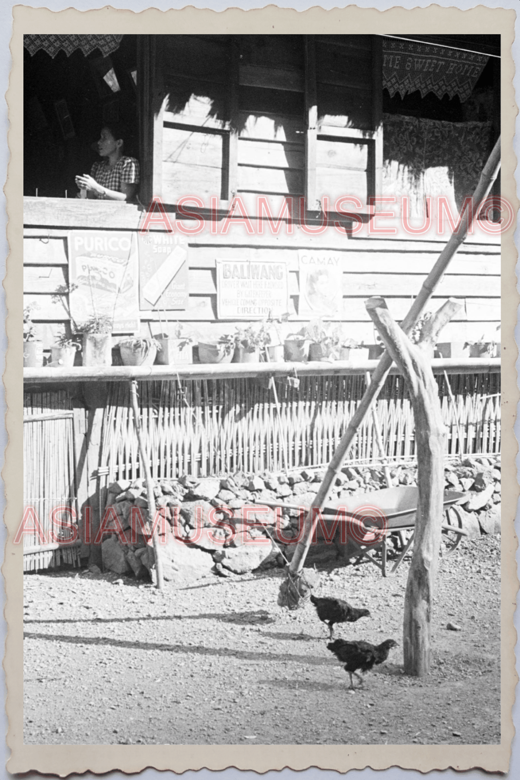 50s PHILIPPINES YOUNG LADY GIRL WINDOW STILT HOUSE CHICKEN Vintage Photo 24177