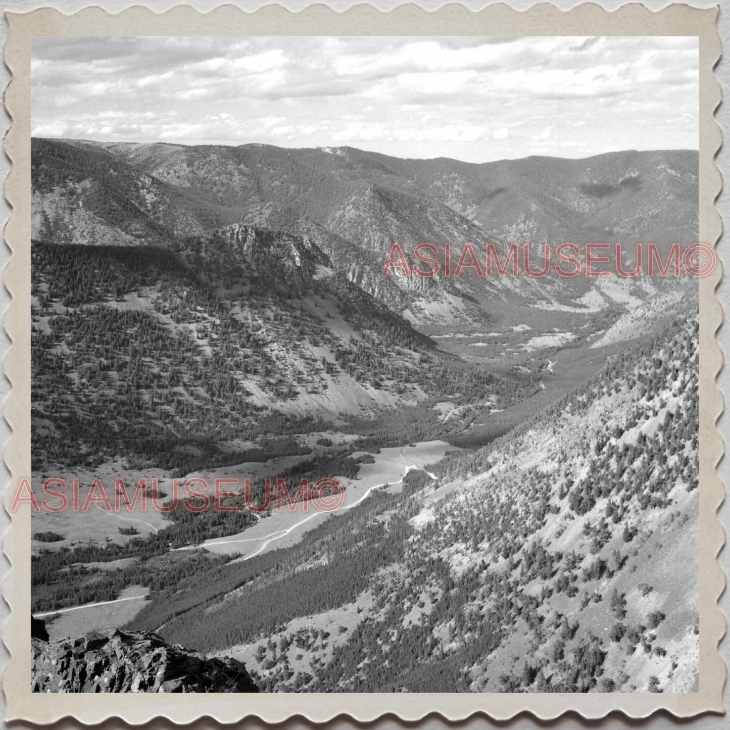 50s YELLOWSTONE NATIONAL PARK WYOMING MONTANA MOUNTAIN VINTAGE USA Photo 11422