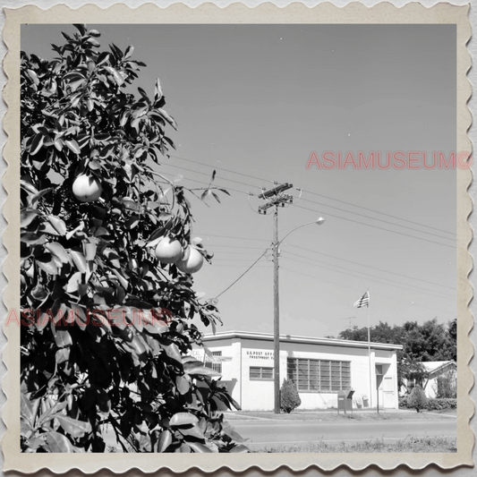 50s FROSTPROOF FOLK COUNTY FLORIDA POST OFFICE US VINTAGE USA AMERICA Photo 7814