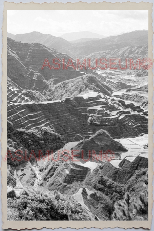 50s PHILIPPINES LUZON IFUGAO CORDILLERA BANAUE RICE TERRACE Vintage Photo 24228