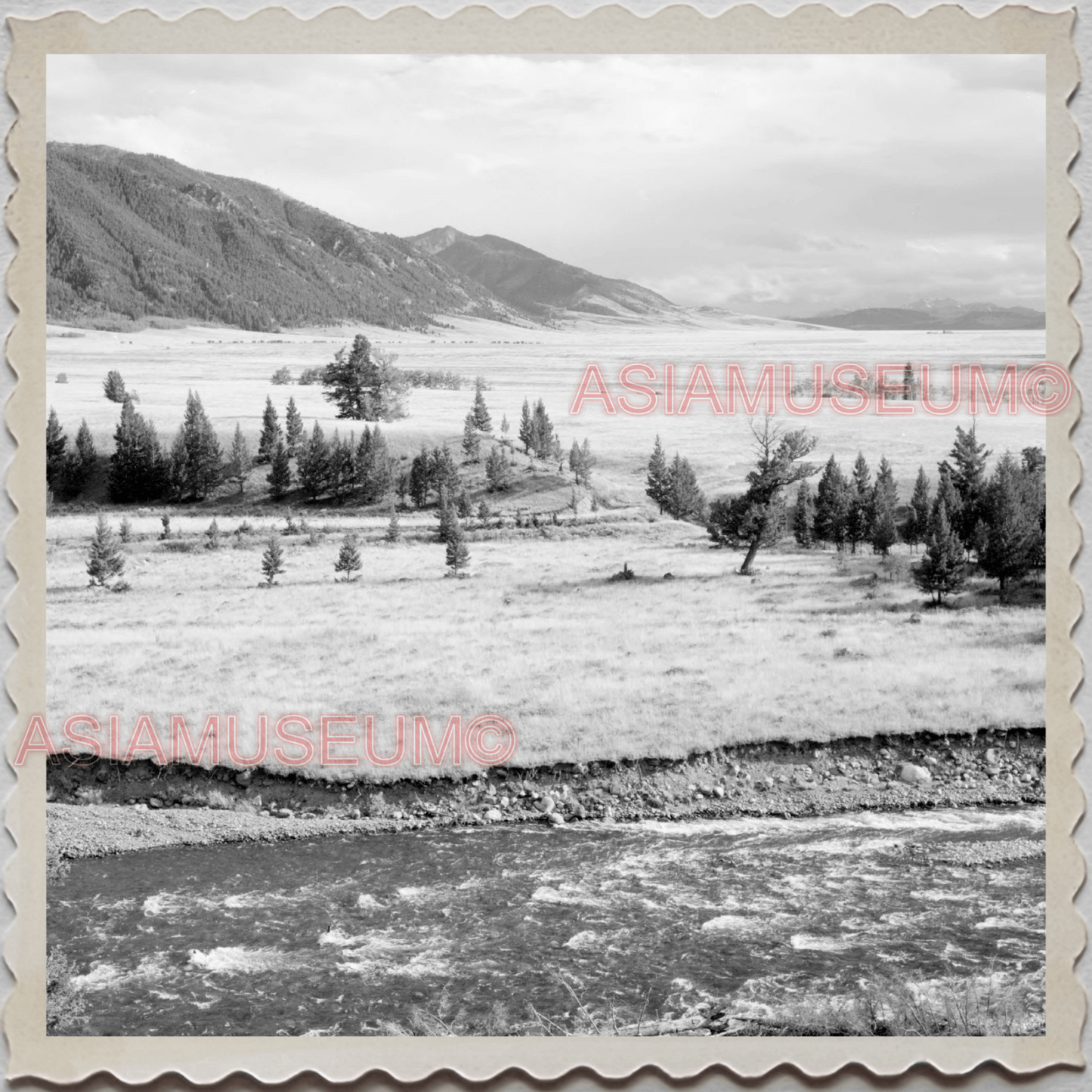 50s YELLOWSTONE NATIONAL PARK WYOMING MONTANA MONTANA VINTAGE USA Photo 10934