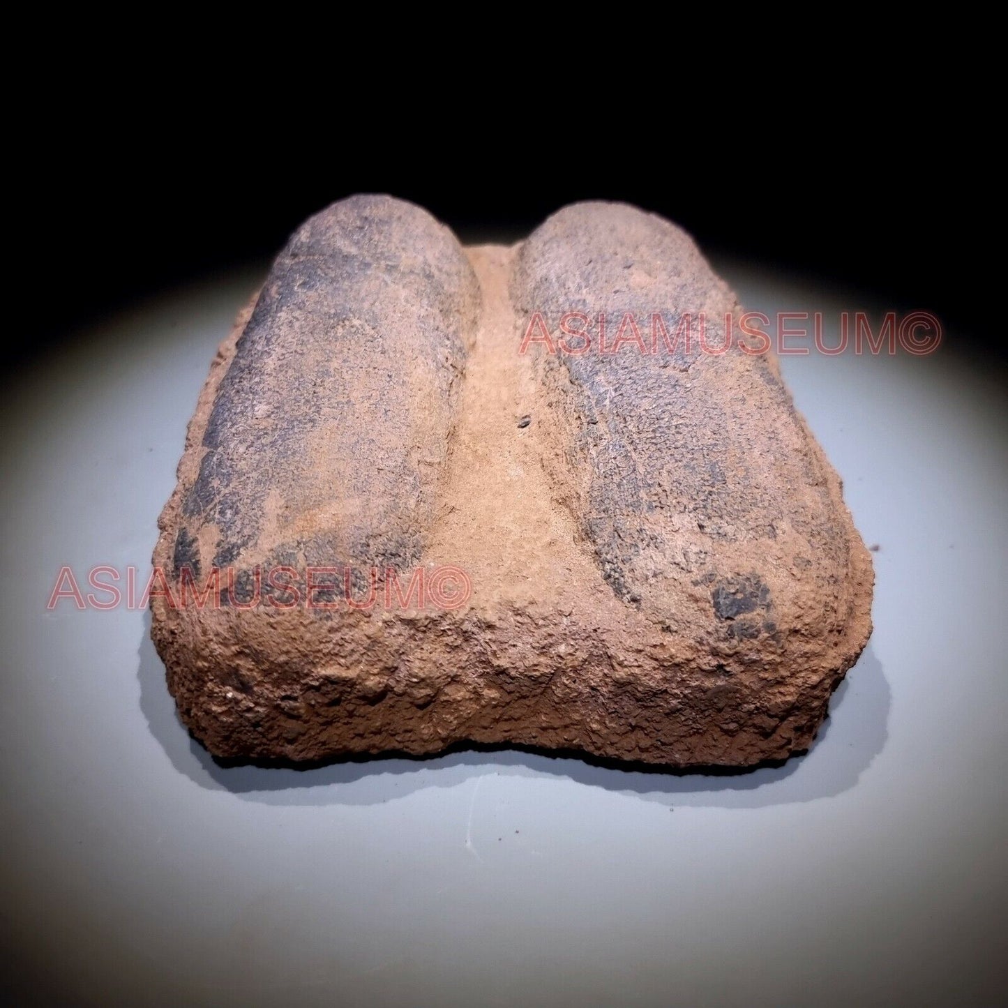 PAIR OVIRAPTOR RAPTOR Velociraptor Dinosaur Egg Fossil JURASSIC PARK WORLD Rock