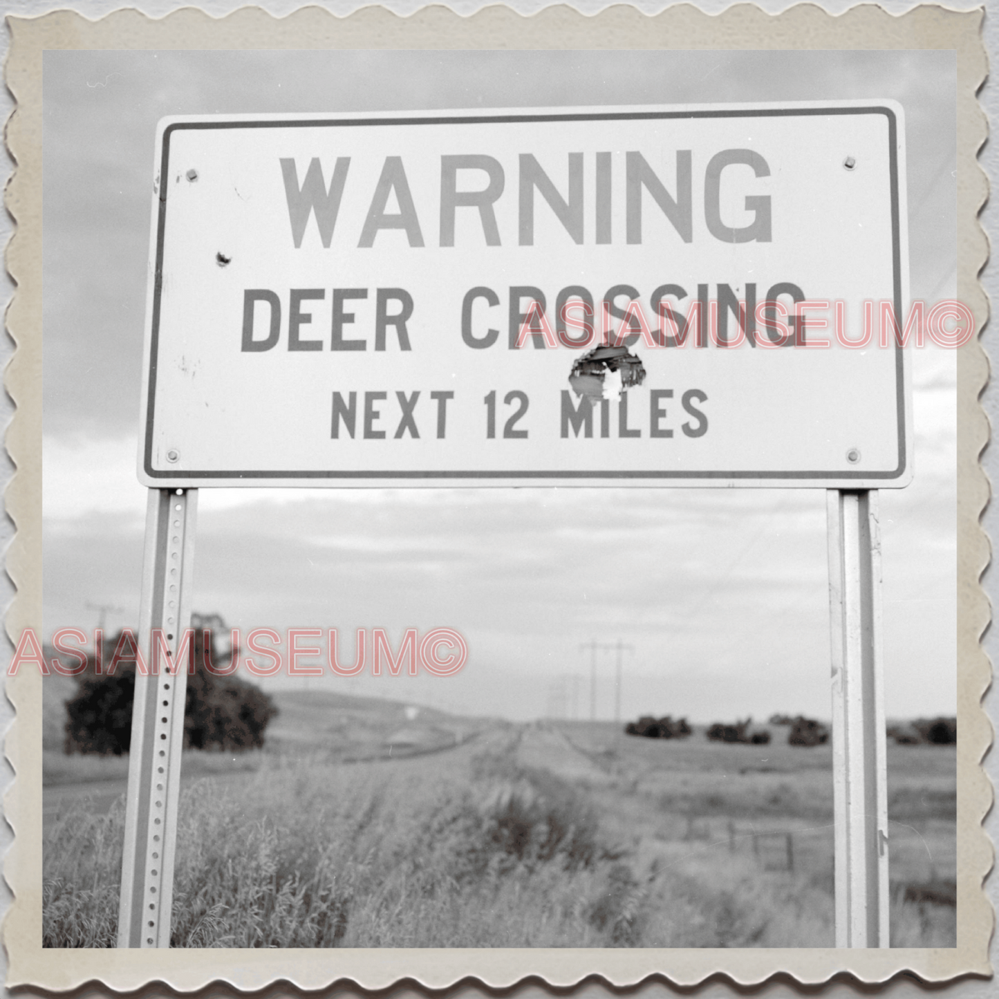 50s YELLOWSTONE NATIONAL PARK WYOMING PARK DEER CROSS SIGN OLD USA Photo 12319